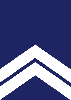 Fichier:4 Sergent MajorV2.png