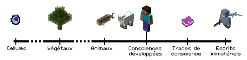 Fichier:Frise télépathie nature avec texte.png