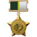 Médaille de Héros des Contrées de Sherwood