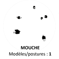 Mouches.png