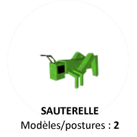 Sauterelle-a.png