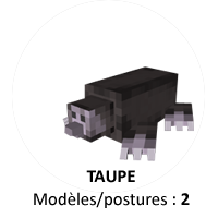 Taupe.png