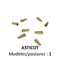 Asticot.png