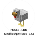 Poule.png