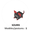 Souris.png