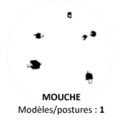 Mouches.png