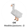 Oie.png
