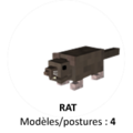 Rat.png