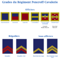 Grades regimentPencroff.png